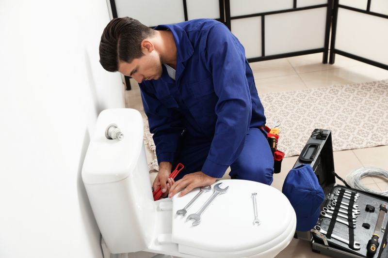 Toilet Repair